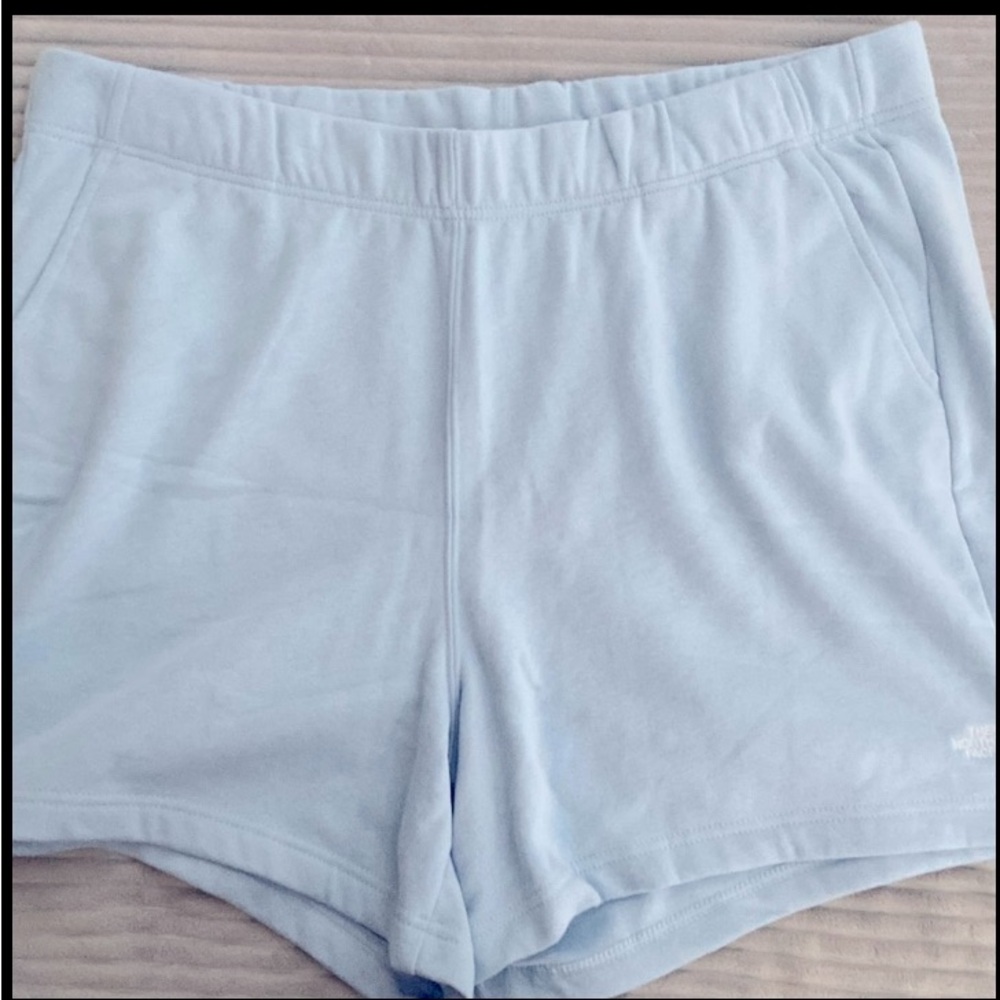 The North Face Plus Size 2X Half Dome Logo Side Slit Fleece Shorts in Beta Blue